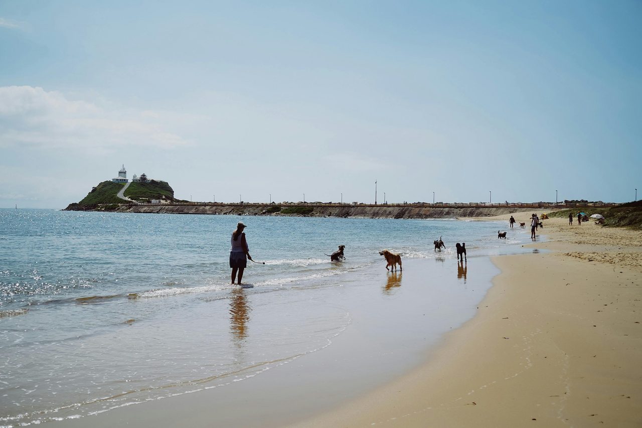 Horseshoe Beach