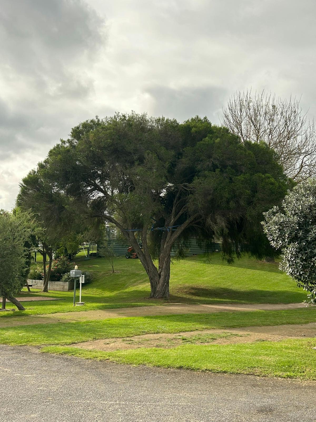 Stratford Caravan Park