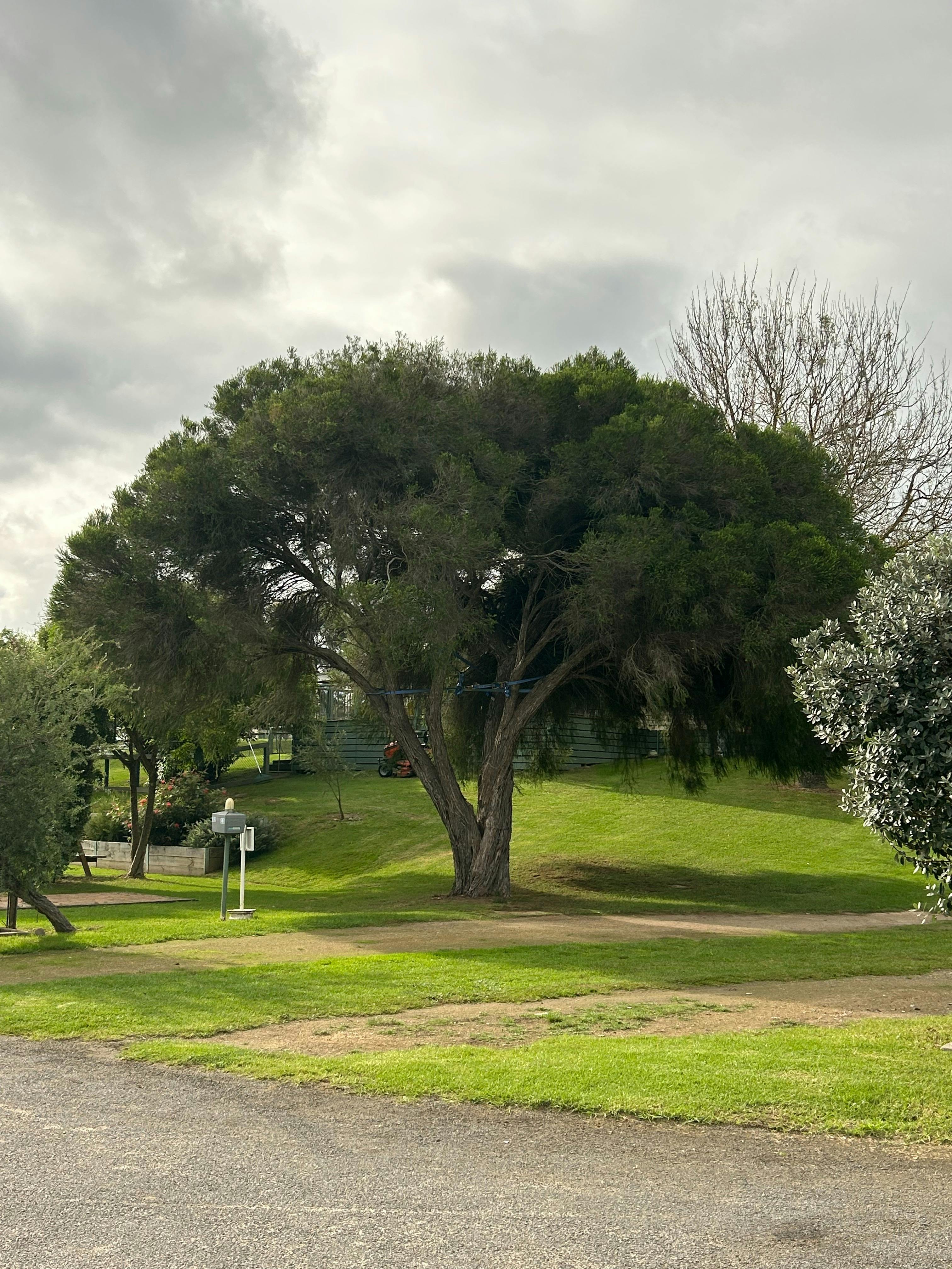 Stratford caravan park powered site