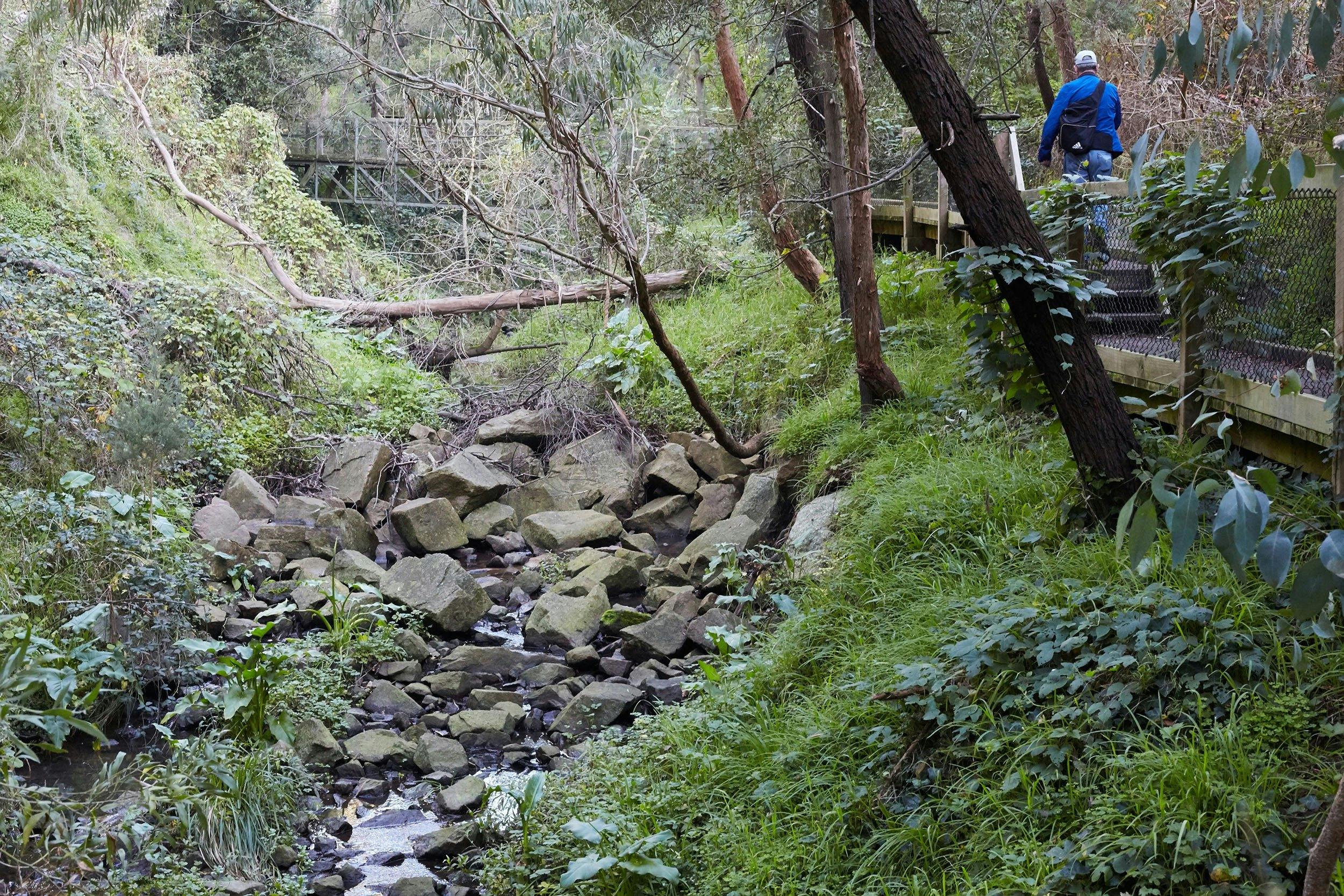 Sweetwater Creek - Boardwalk Circuit