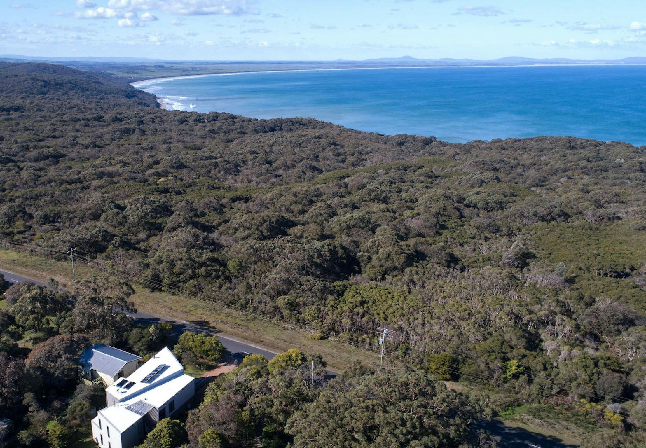 Shearwater - National Park - Ocean