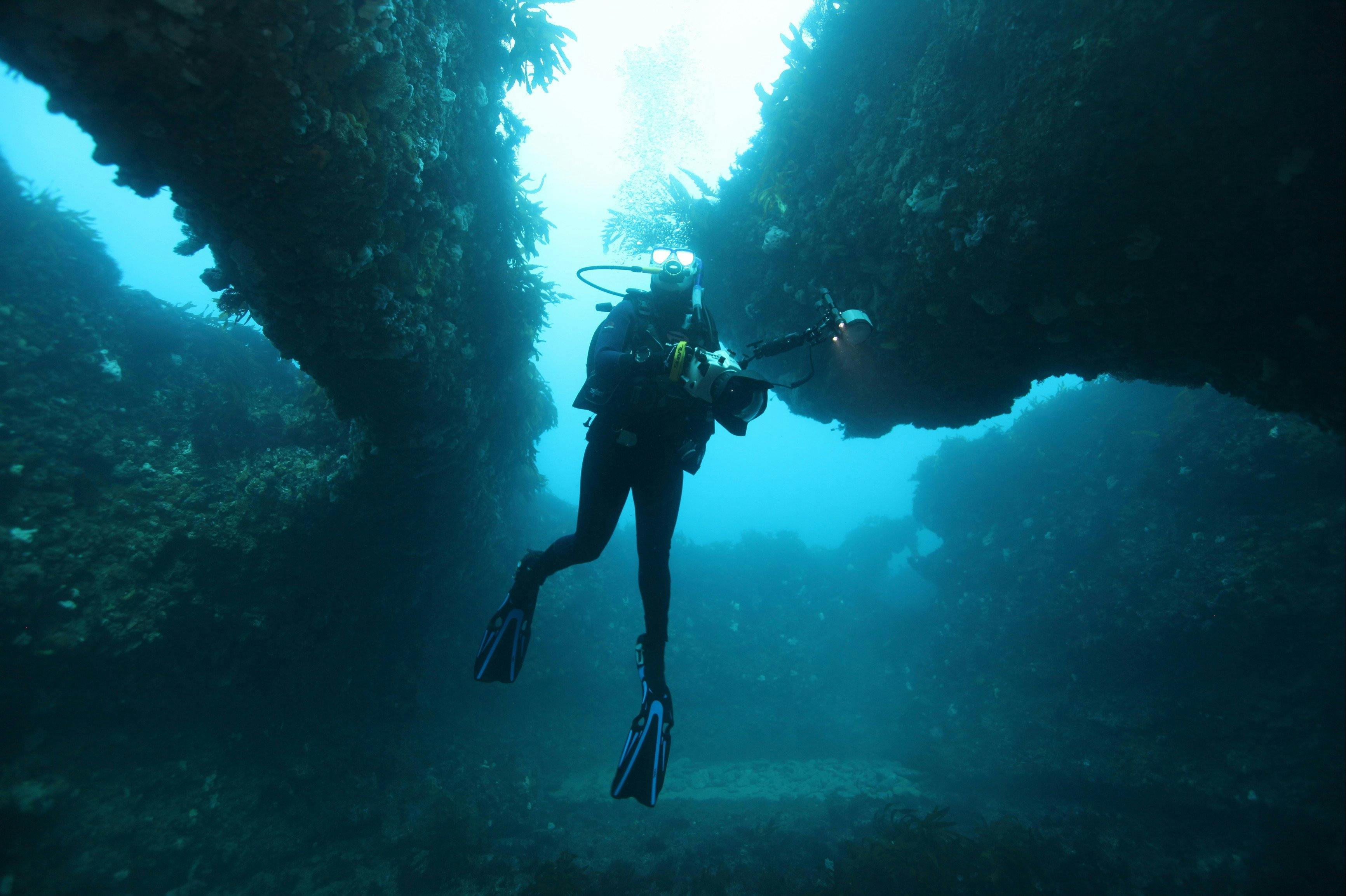 The Arches Marine Sanctuary