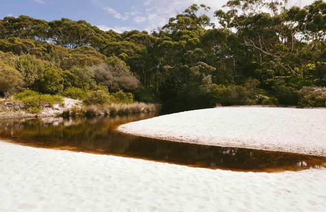 Hyams Beach trail