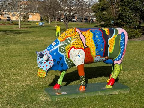 Shepparton Public Art Walk