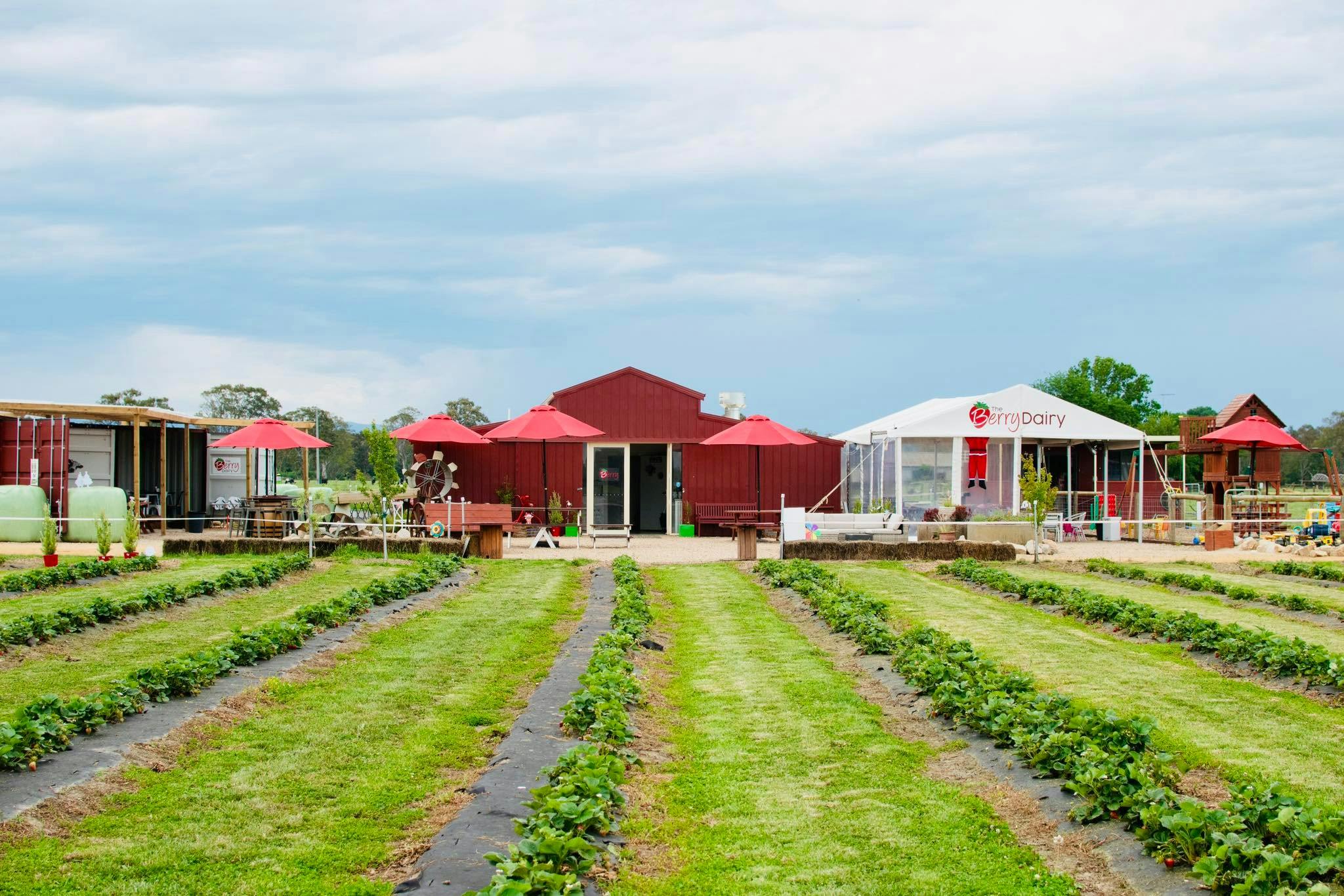Berry Dairy Landscape
