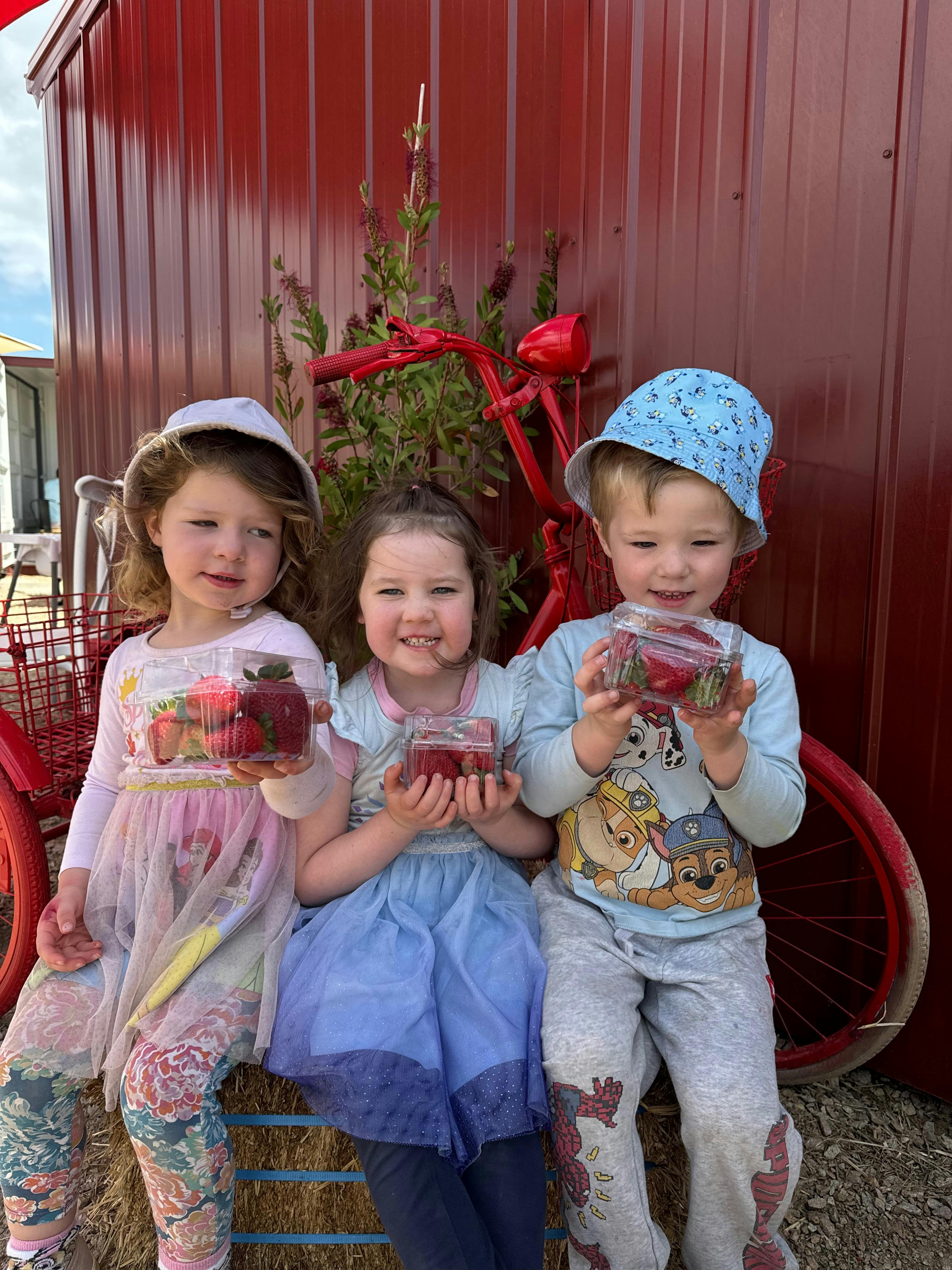 Children with picked strawberries at the Berry Dairy