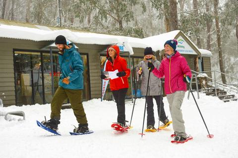 Telephone Box Junction - Mt Stirling
