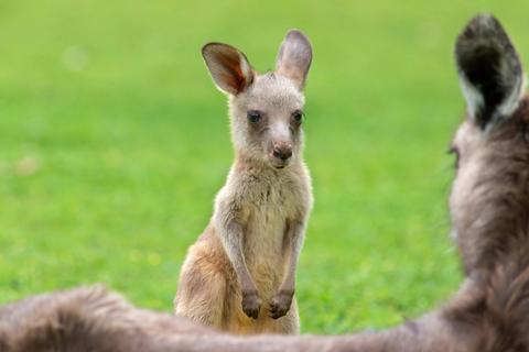 Tandara Lutheran Camp