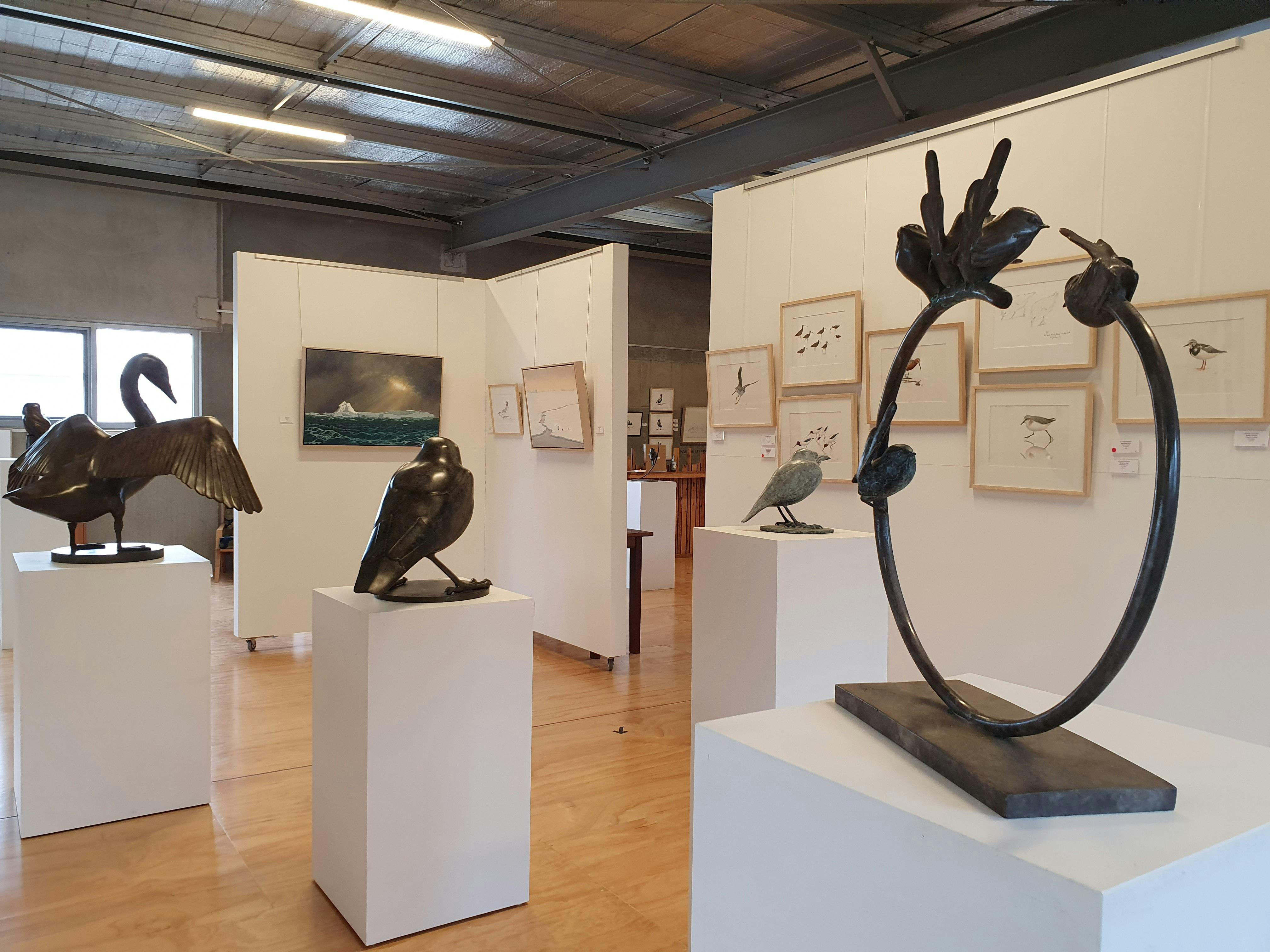 'A Brush with Birds' Exhibition & book launch featuring Richard Weatherly OAM and Lucy McEachern