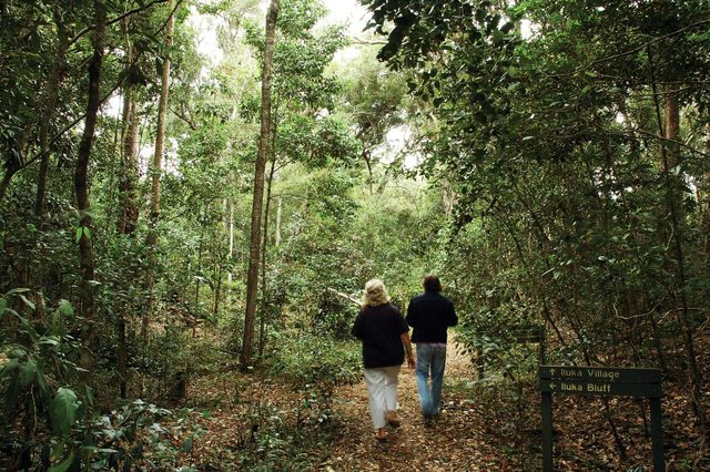 Iluka Rainforest Walking Track