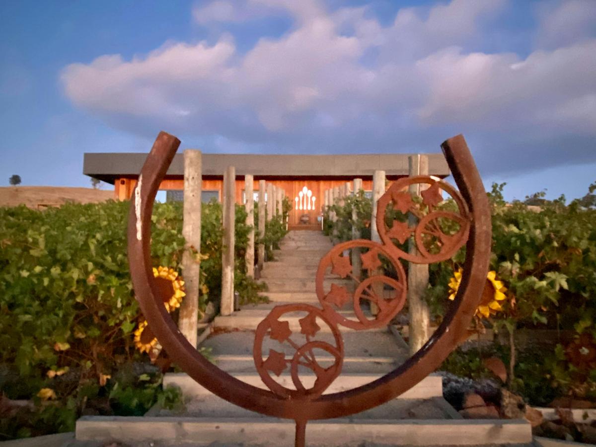 Silver Spoon Estate walkway to an authentic wine & dining experience