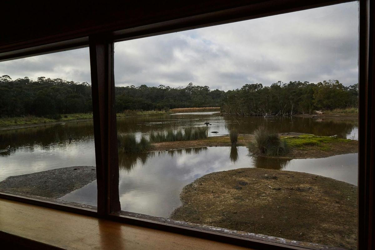 Briars Tichin-Goroke Link