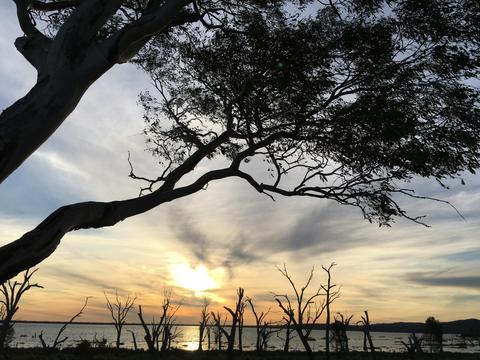 The Spit Walking Trail