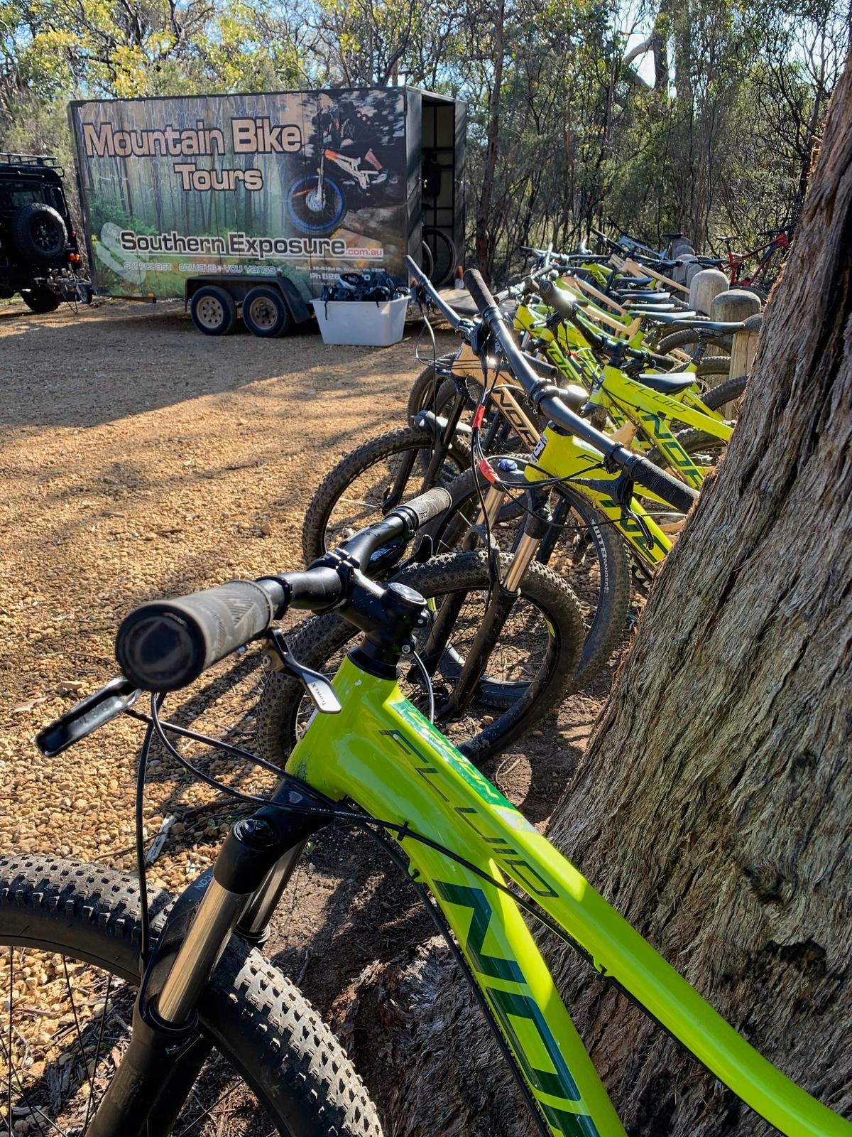 Mt Bike Fleet
