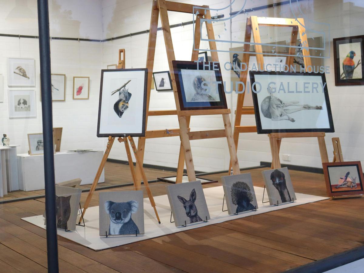 Artwork of Australian Fauna  by emerging Victorian Artists in Kyneton