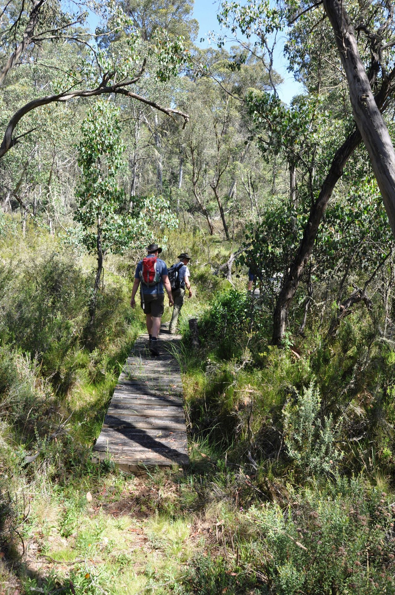 Hume & Hovell Track