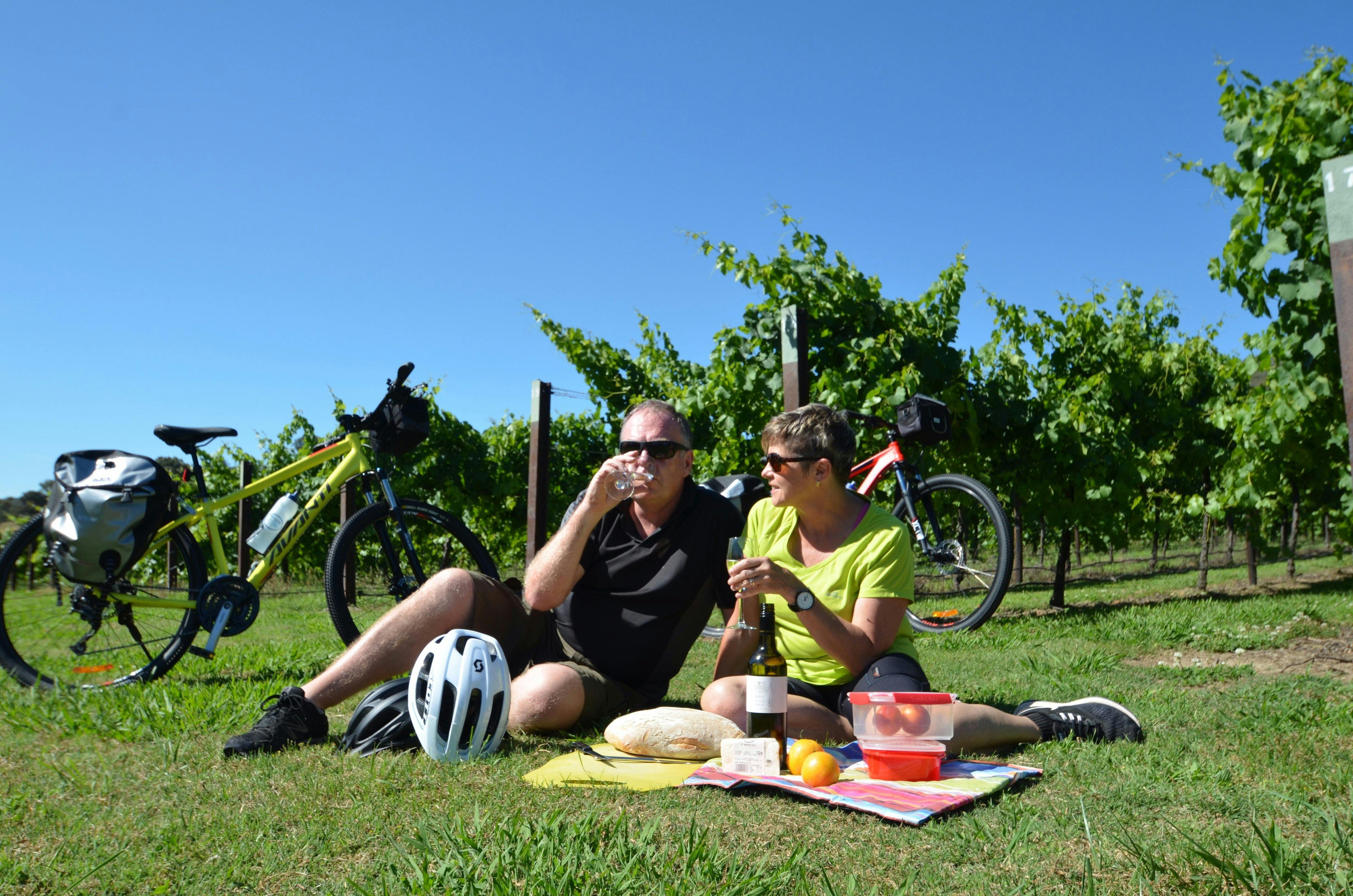 The Bike Hire Company