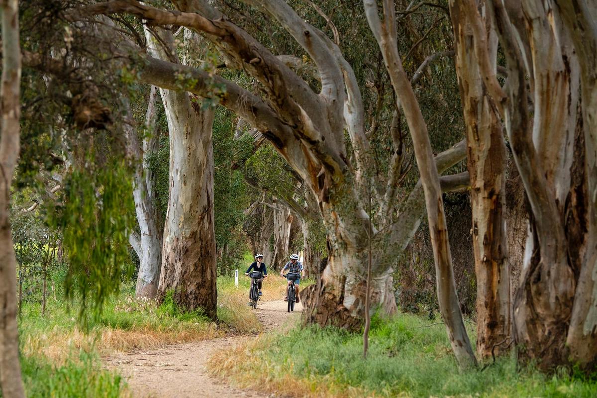 riding The Victorian High Country