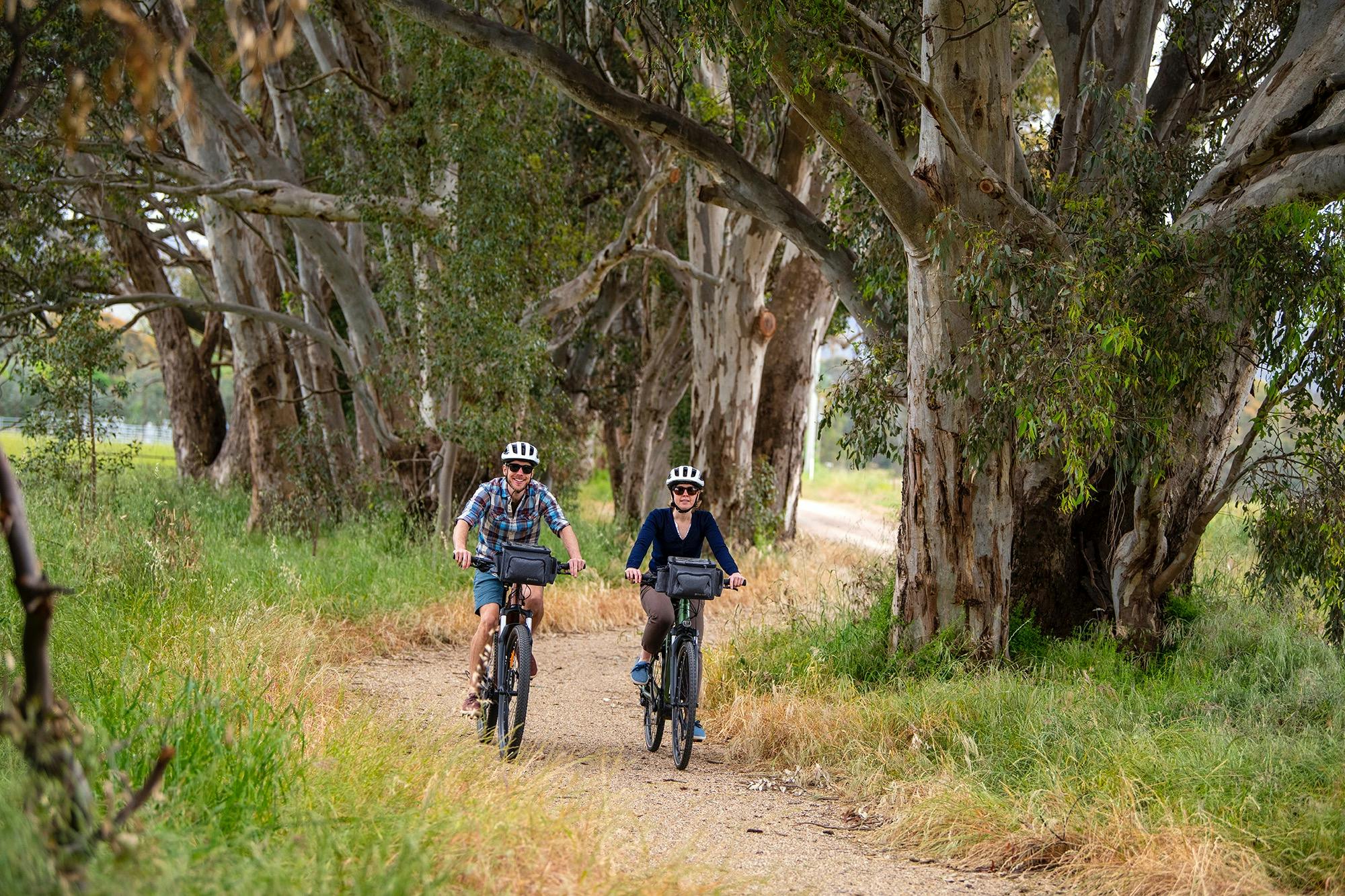 Beechworth to Yackandandah Rail Trail