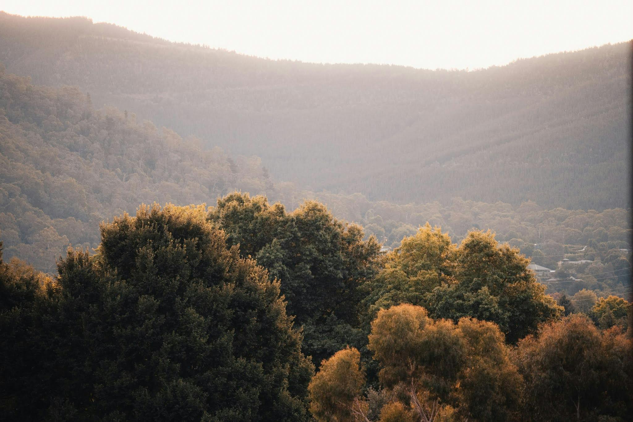 Accommodation Bright