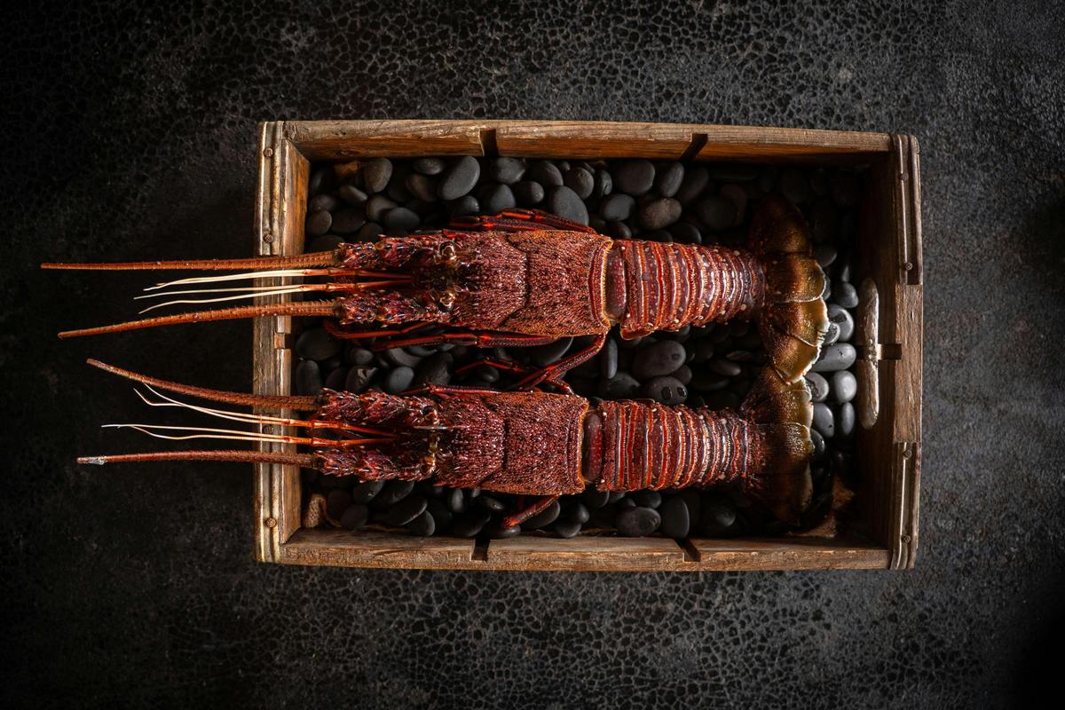 Lobster
