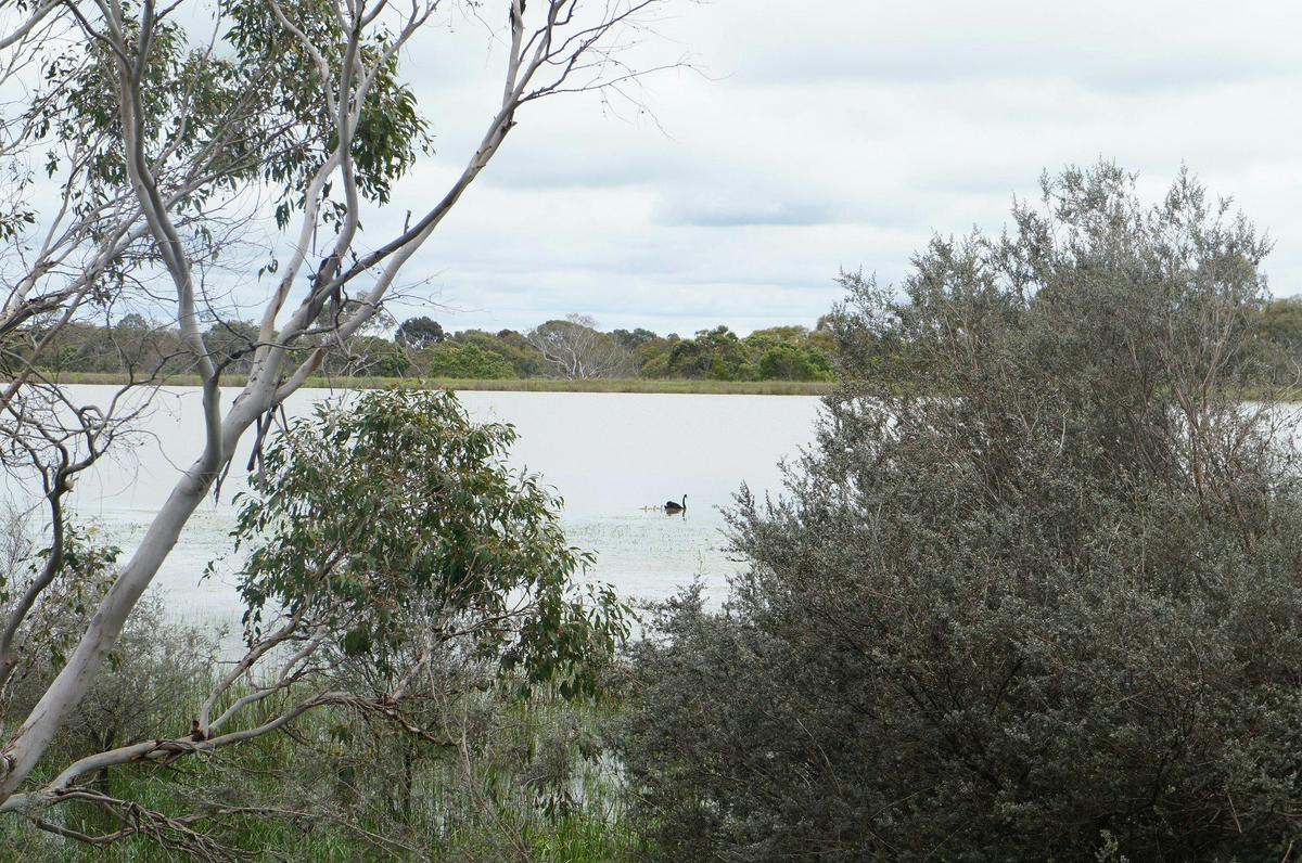 A view from the Bandicoot Wildlife Walk
