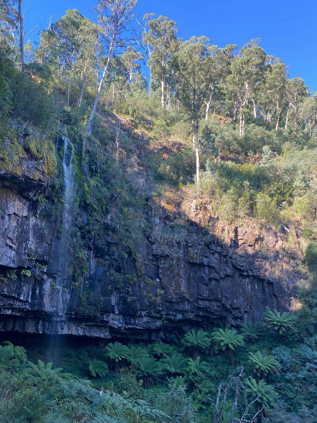 Bindaree Falls
