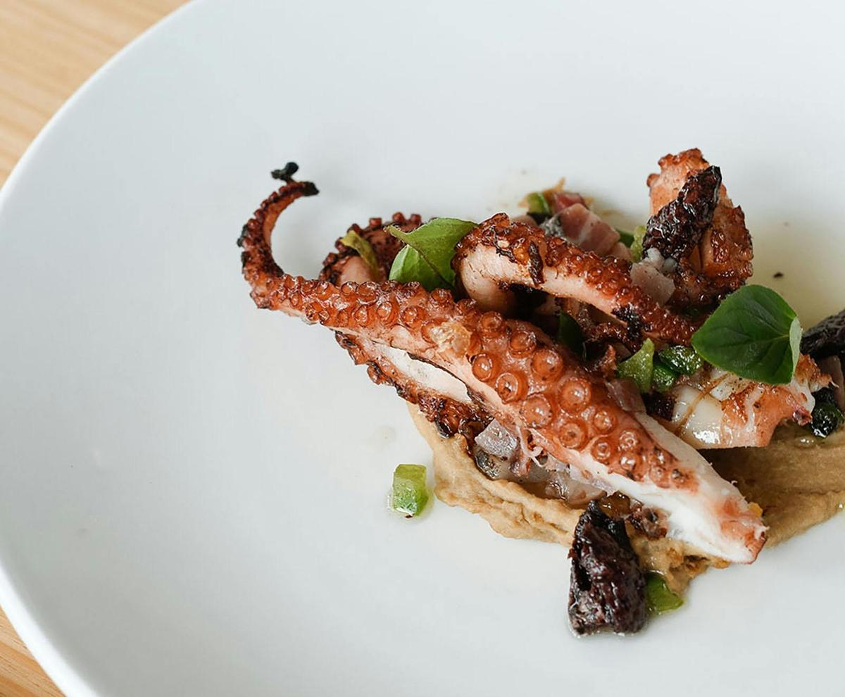 Octopus