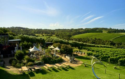 Montalto, Mornington Peninsula, Ultimate Winery Experiences Australia