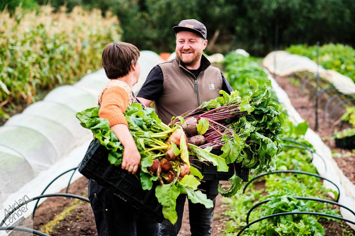 Montalto - Kitchen Garden