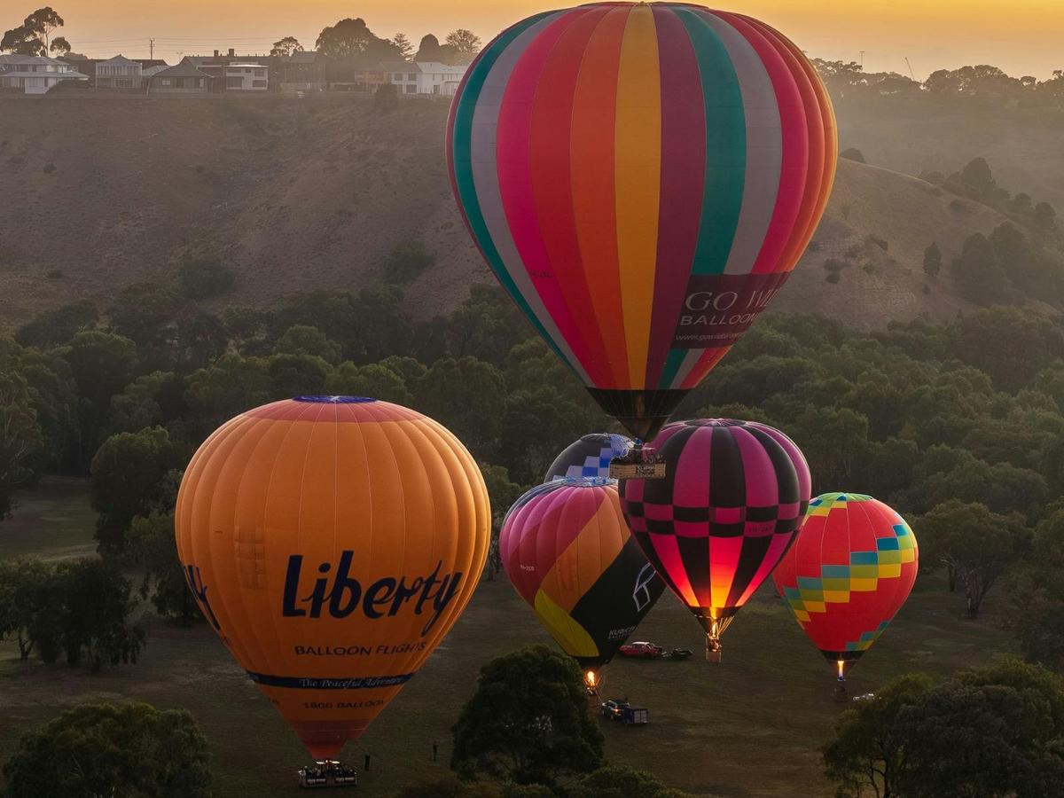 Aerial adventure at the Geelong Balloon Festival with multiple balloons floating together.