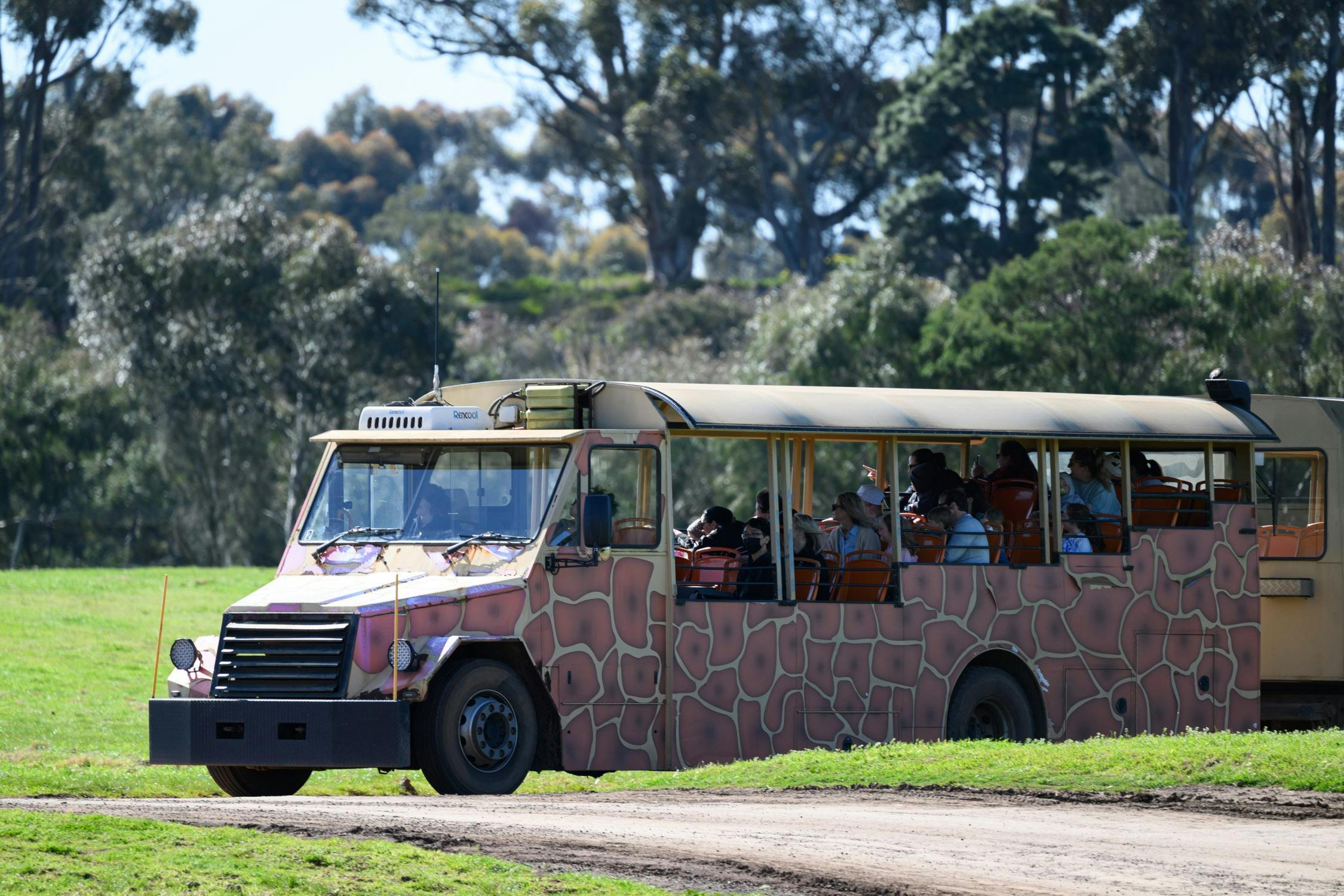 Safari Bus
