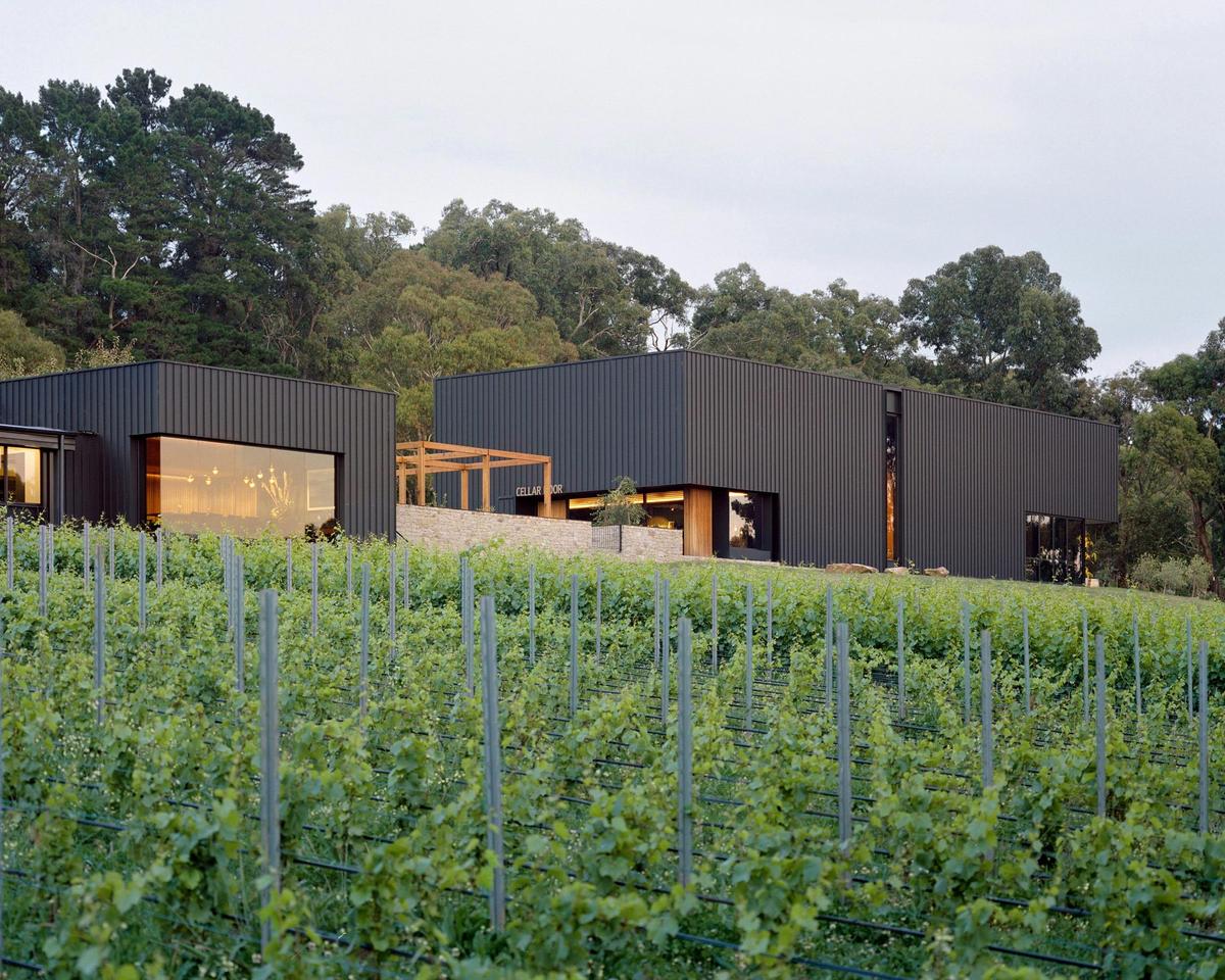 View from the Vineyard