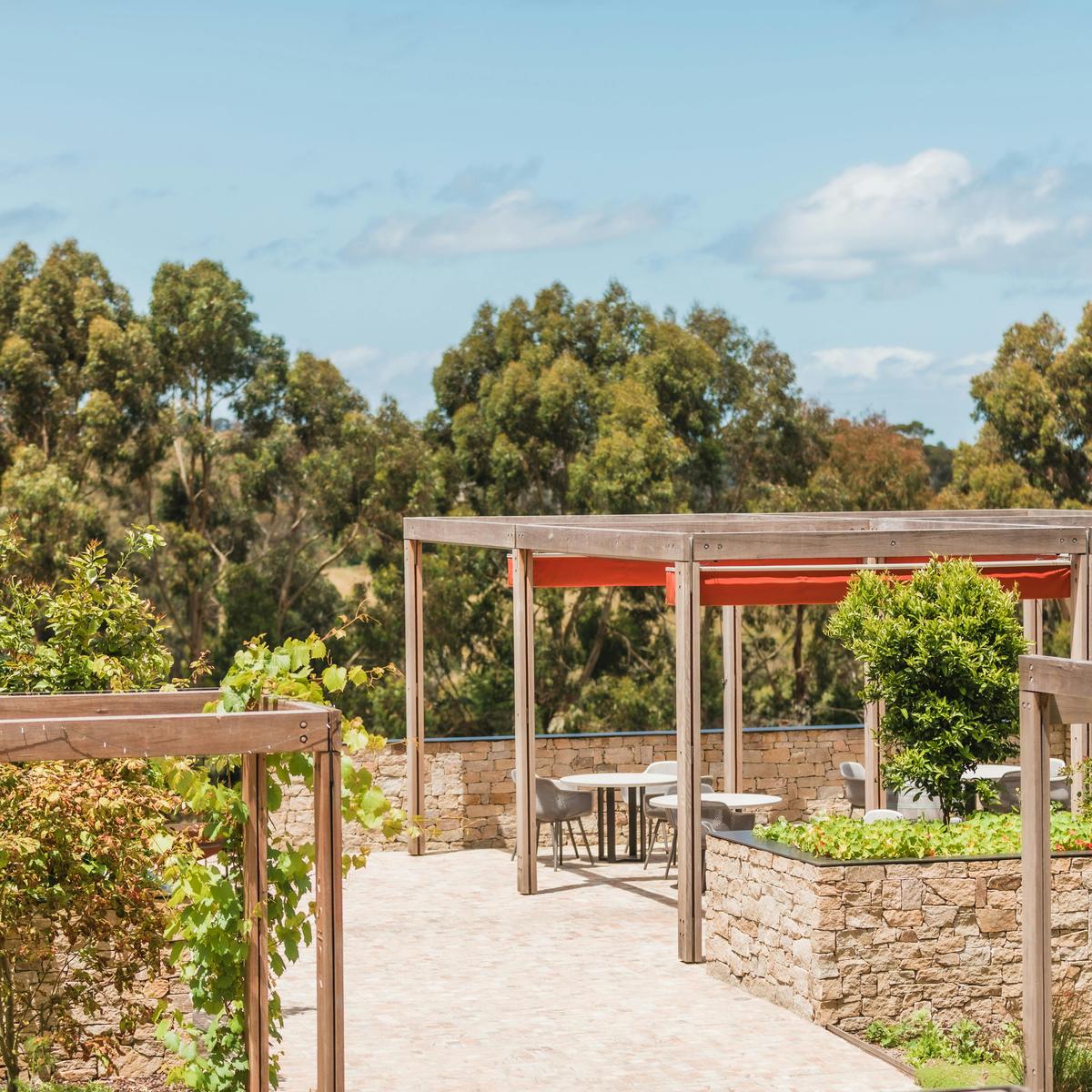 The Terrace overlooking our Gabrielle Vineyard & the rolling hills of Main Ridge