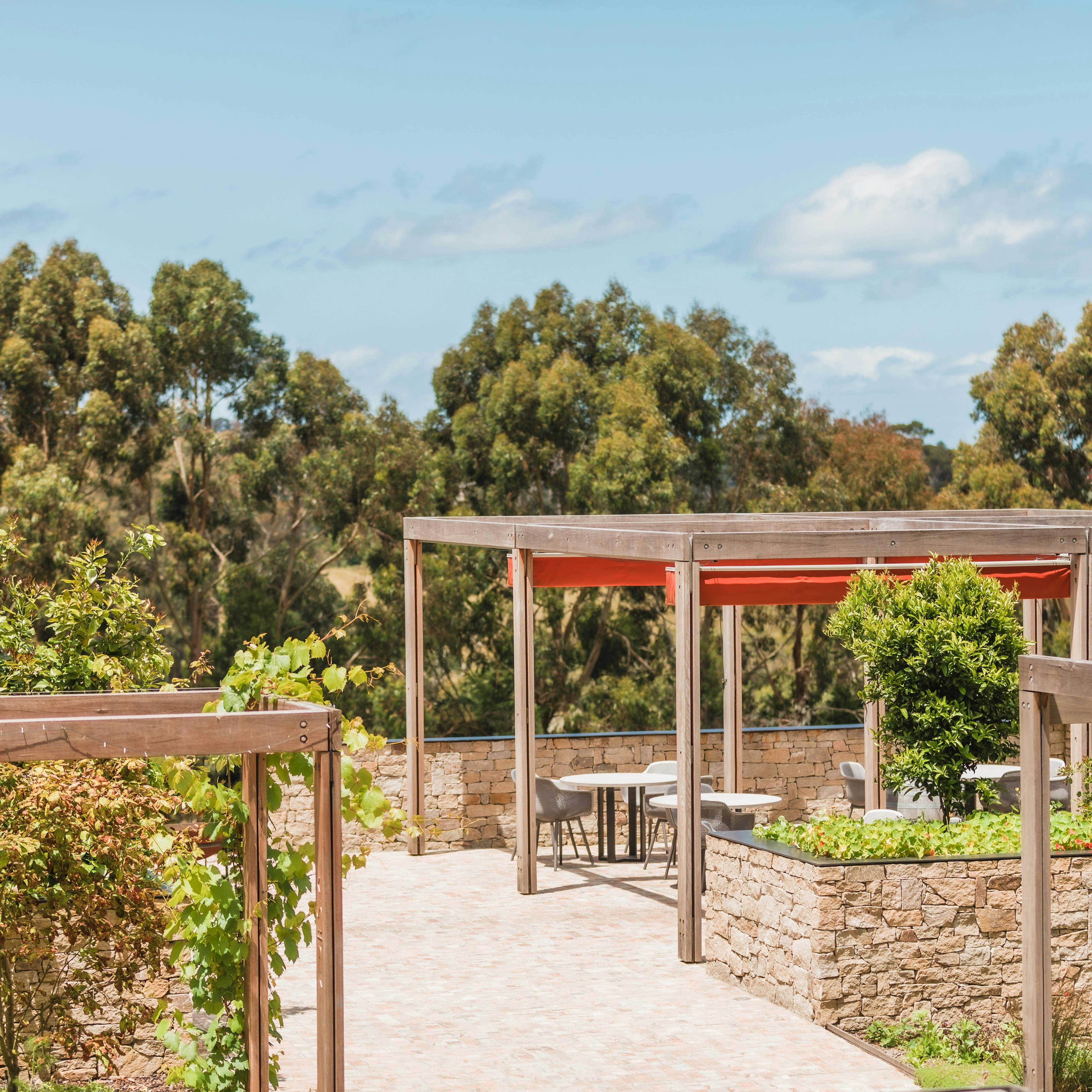 The Terrace overlooking our Gabrielle Vineyard & the rolling hills of Main Ridge