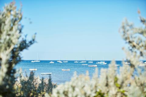 Blairgowrie Foreshore
