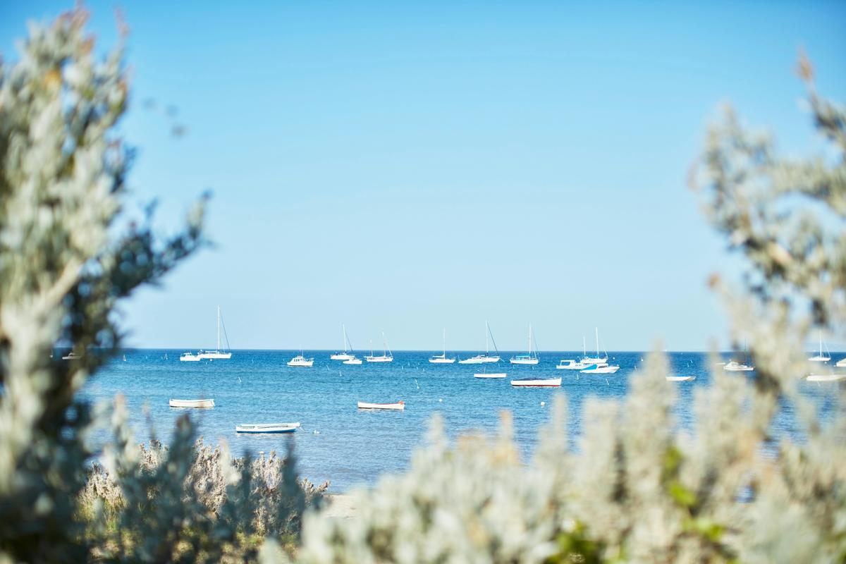 Blairgowrie Foreshore