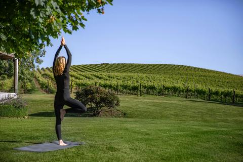 The Lodge by Mt Bellevue