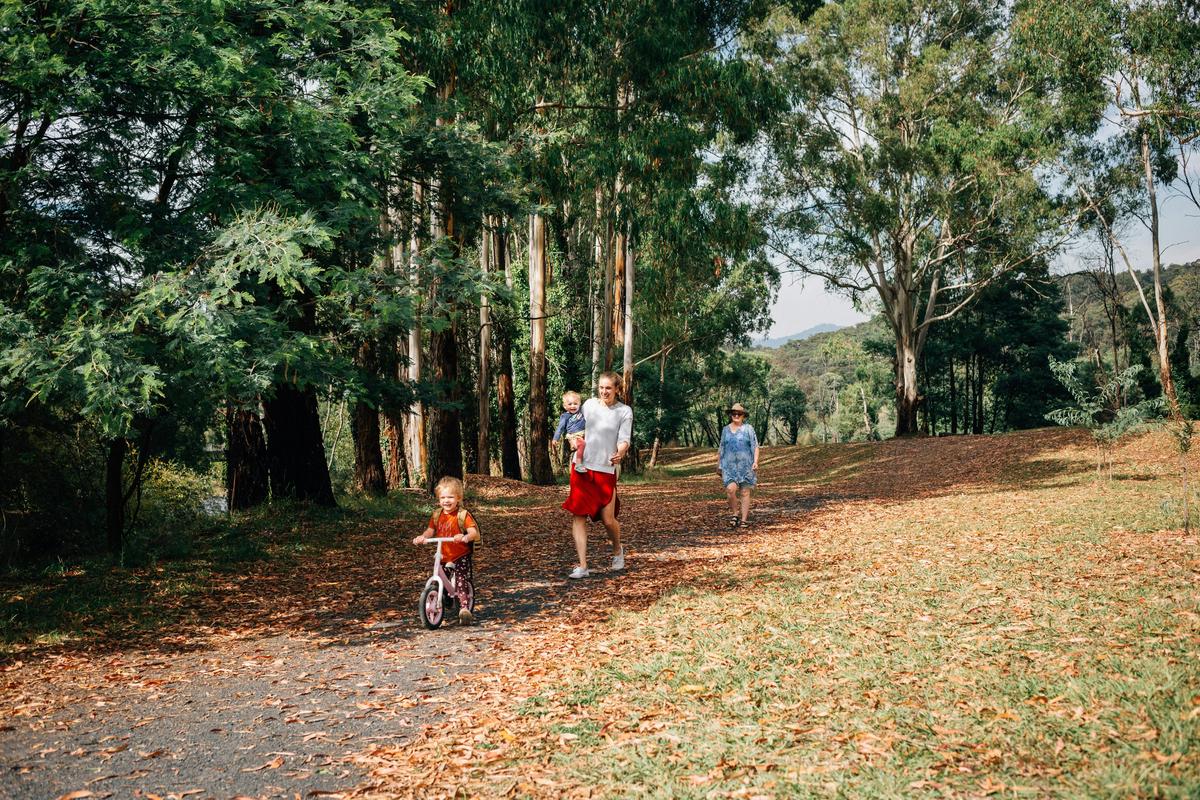 The Island Walking track