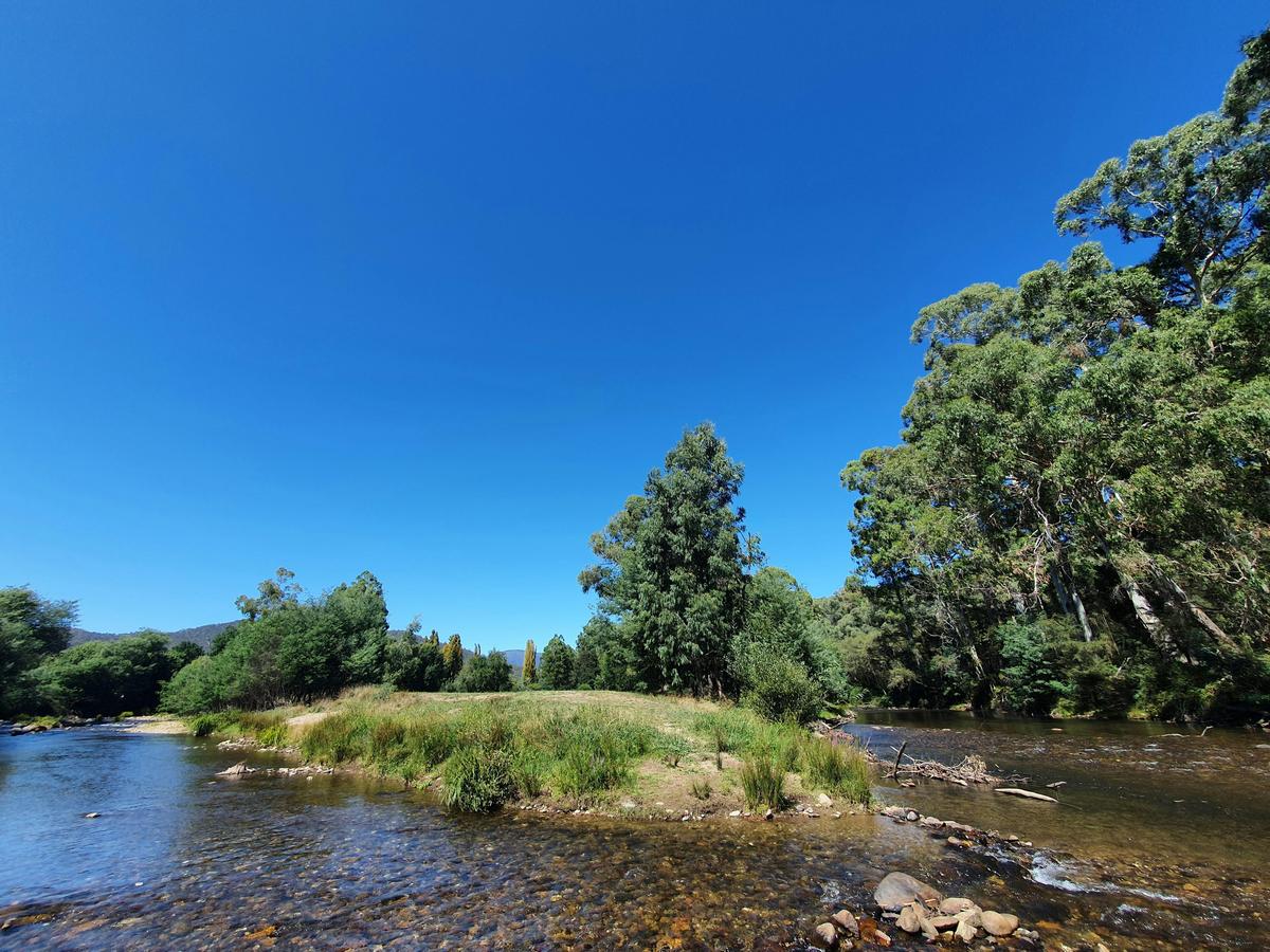 The Island at Jamieson