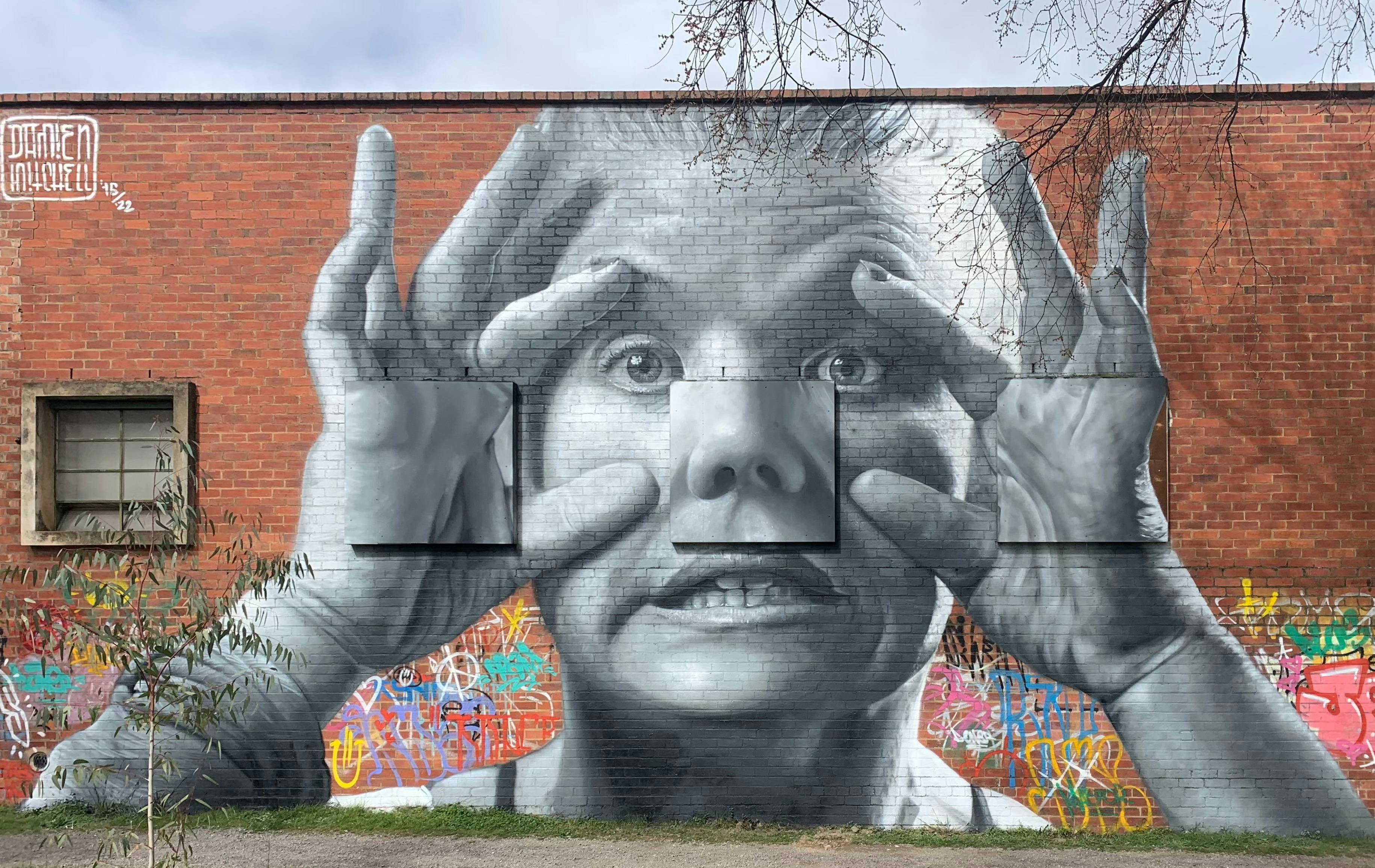 Street art Damien Mitchell mural
