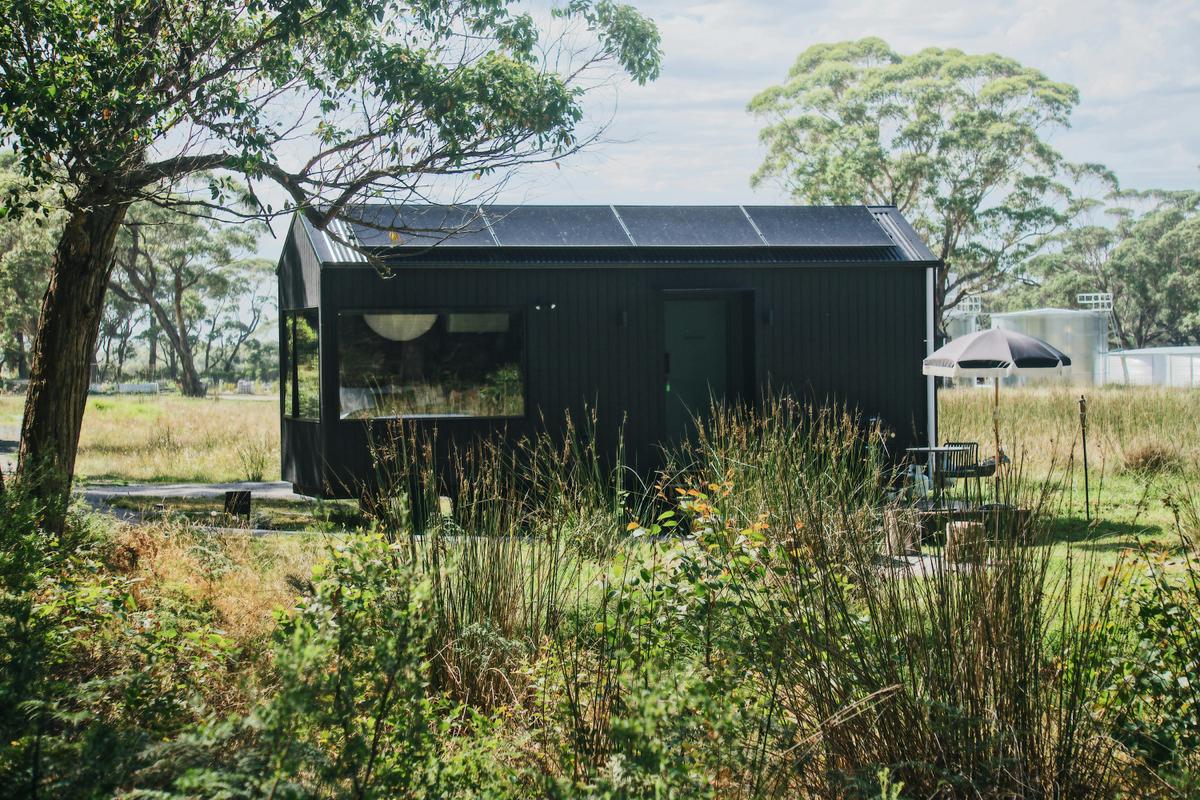 Half Acre amongst the trees