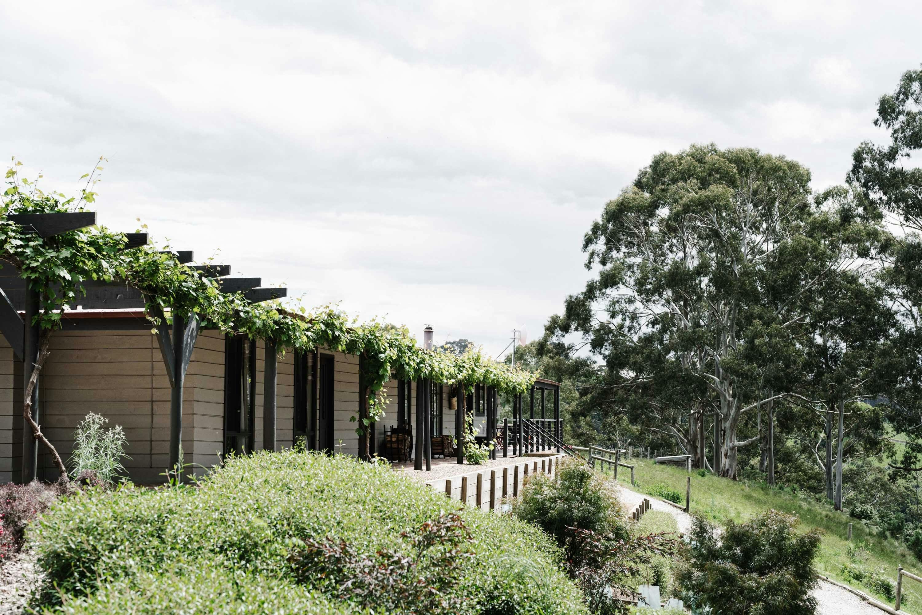 A vine covered verandah greets visitors