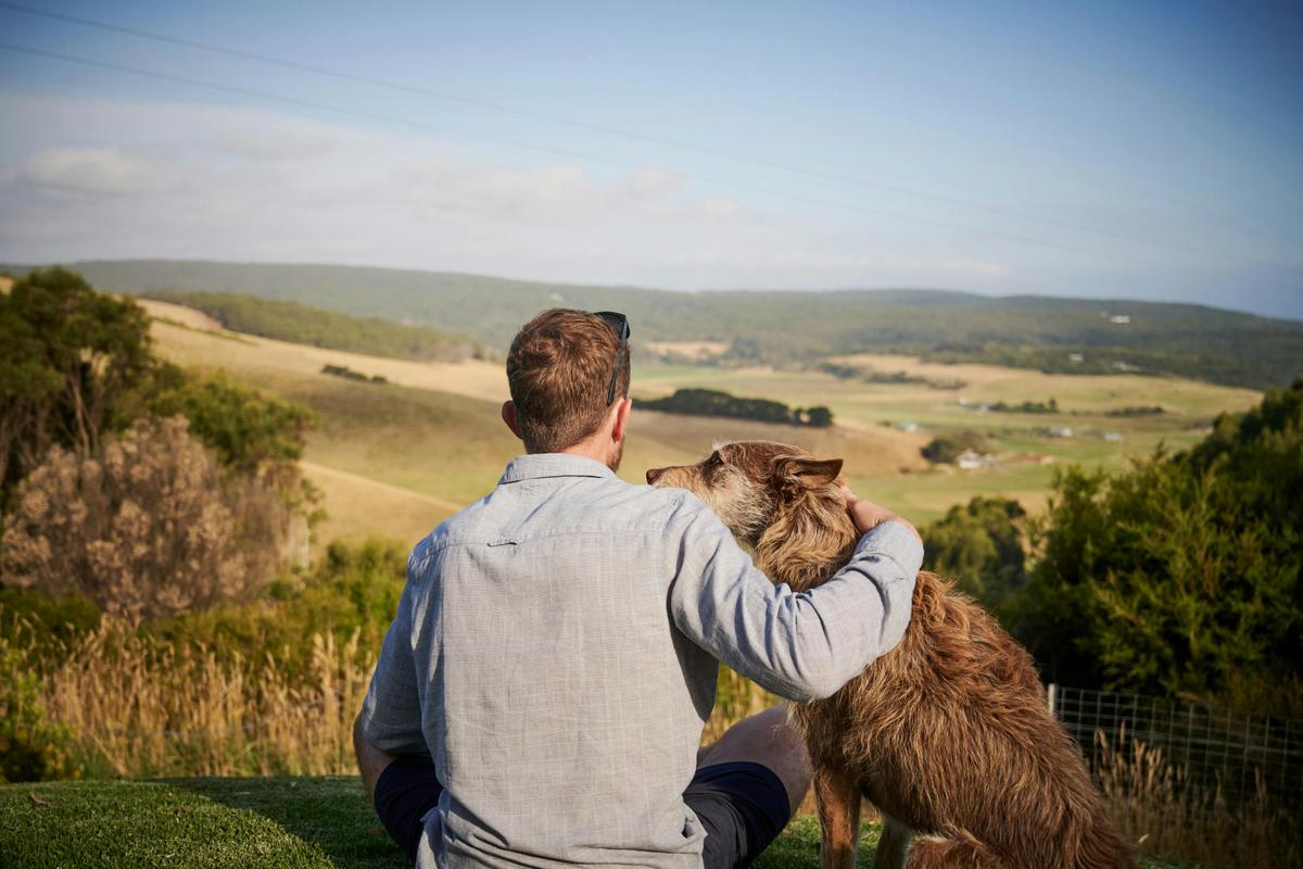 Dogfriendly backyard with breathtaking views