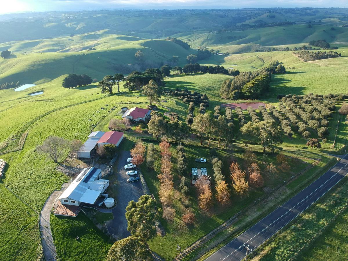 The Truffle House Farm sits prominently in the stunning rolling hills of Gippsland