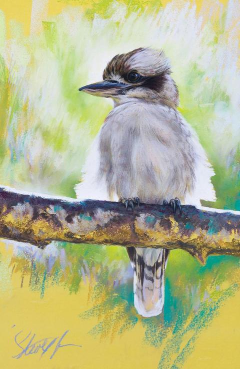 Steve Morvell Art for Conservation