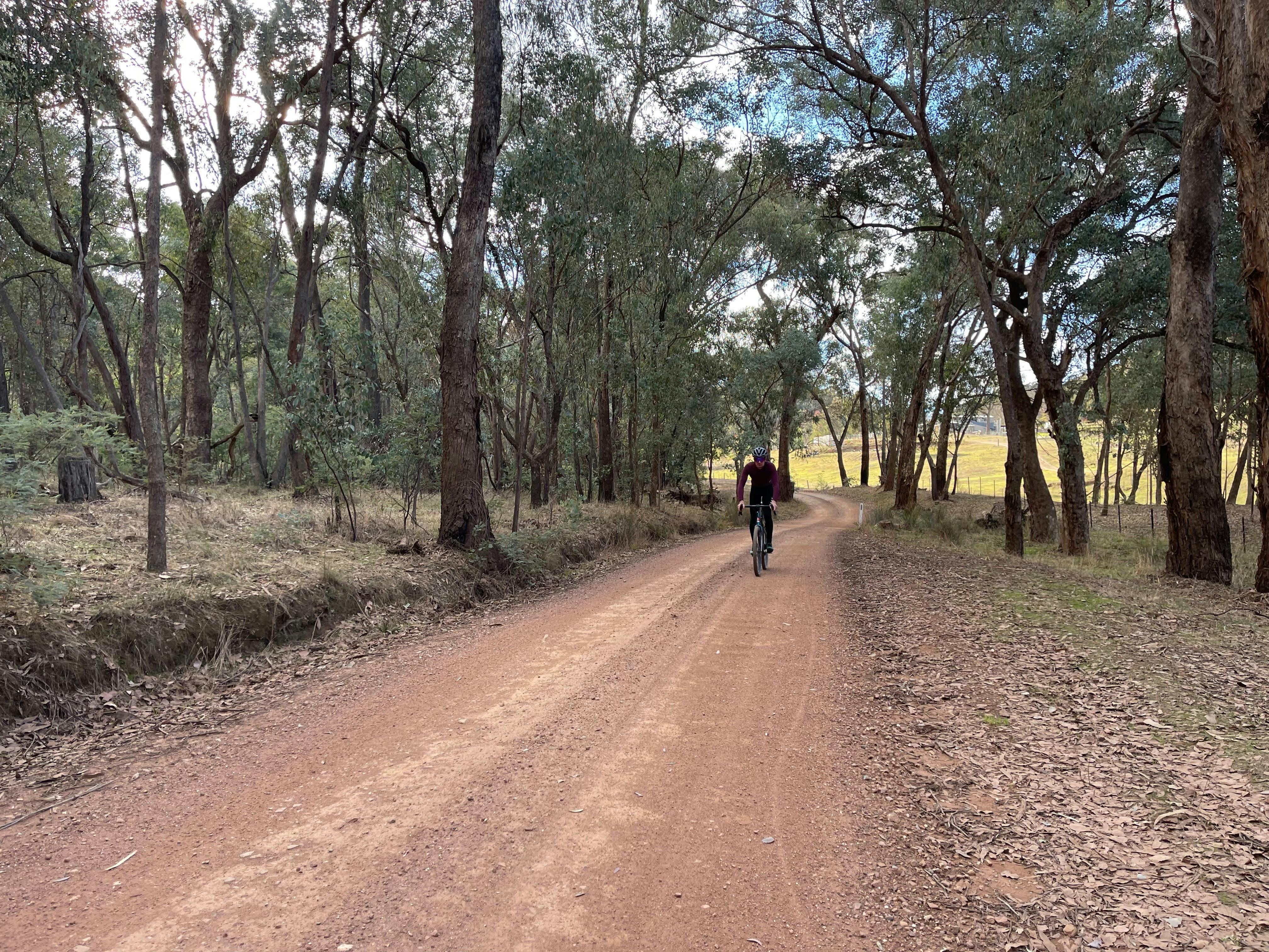 Single bike rider cycling towards camera on dirt road running through bushland. with native trees.