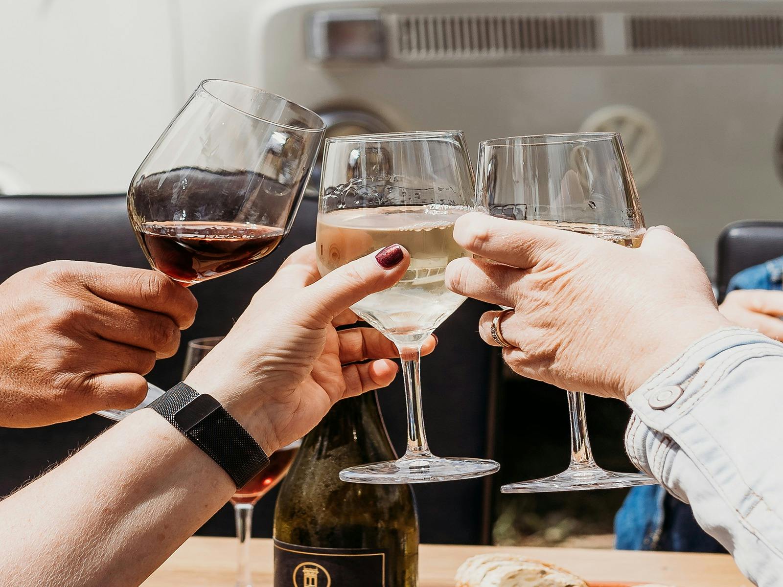 Friends saying cheers on a winery tour