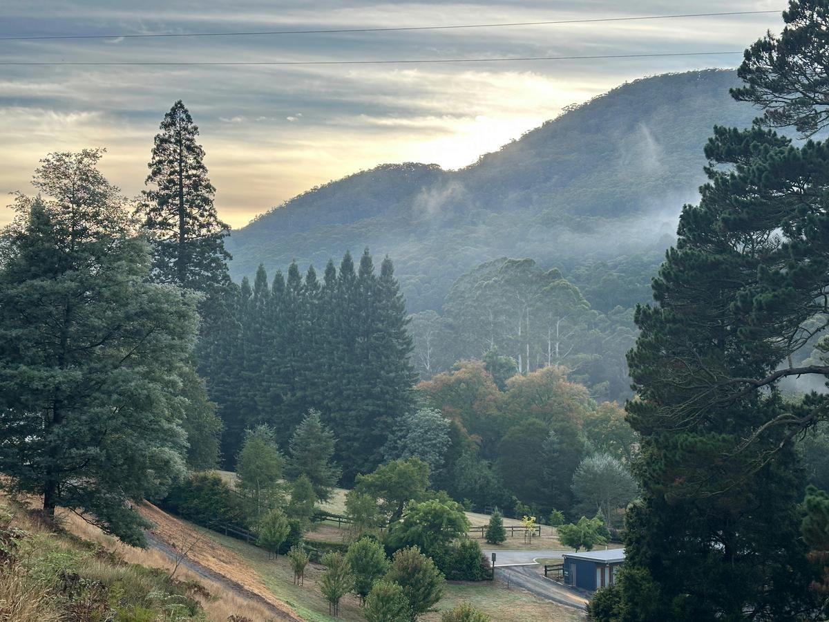 The Misty valley