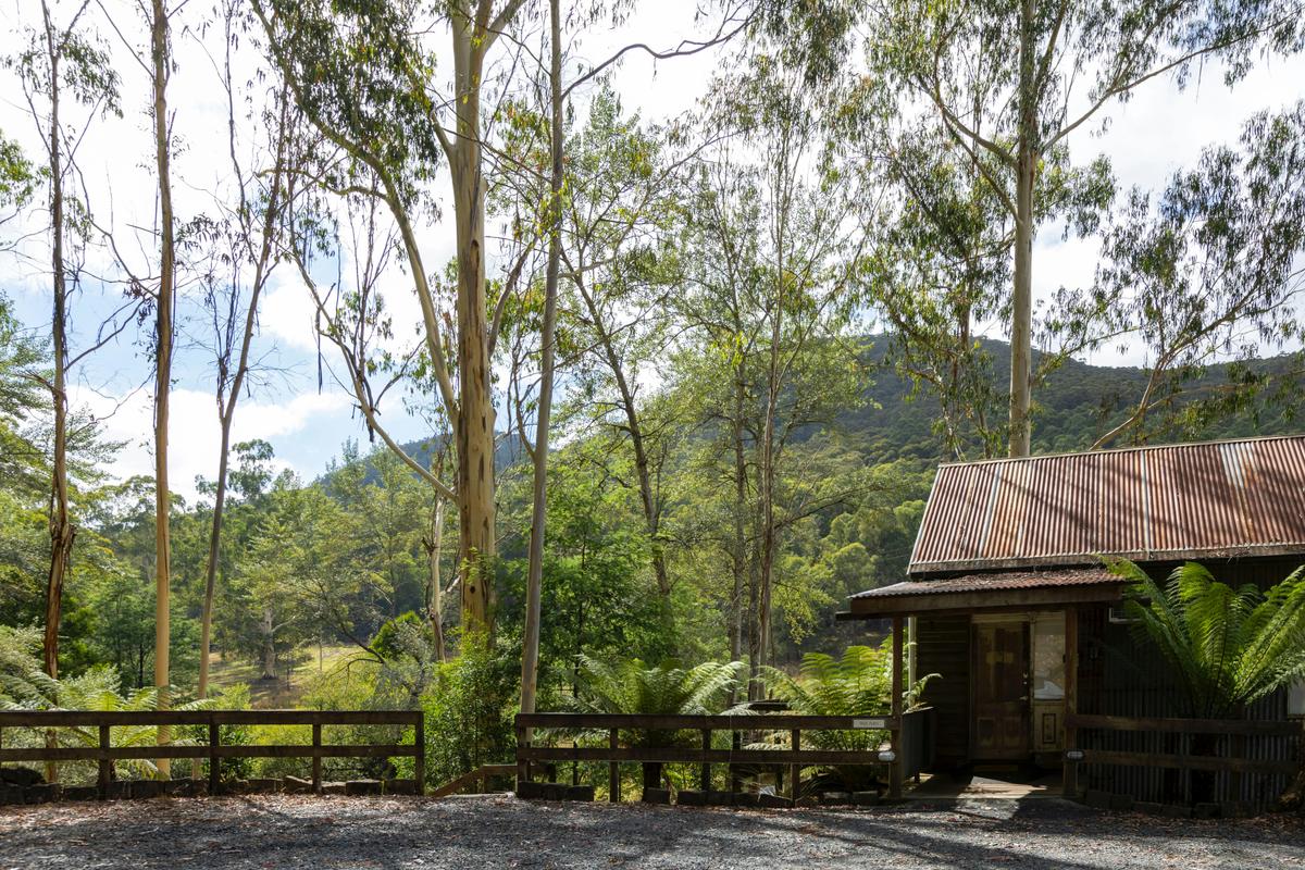 Treefern Chalet